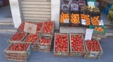 تباين أسعار الخضراوات والفاكهة في أسواق محافظة المنوفية اليوم الإثنين 23 مارس